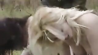 Привел телку в сарай и поимел ее на сене