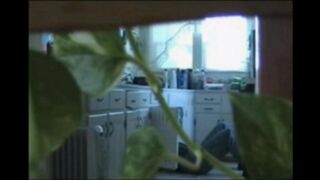 Голая семейная пара ходит по квартире и трахается