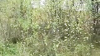 Снял бабу на остановке